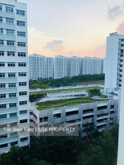 Blk 212B Punggol Walk (Punggol), HDB 4 Rooms #198466962